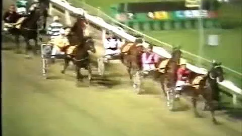 Harold Rowan Photo 8