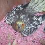 Judy Herzog Photo 20