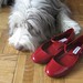 Steve Madden Photo 47