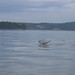 Juan Gray Photo 37