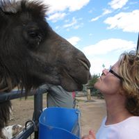 Kathy Greenway Photo 1