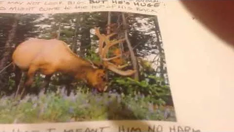 Debra Pickens Photo 18