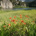 Marie Goode Photo 25