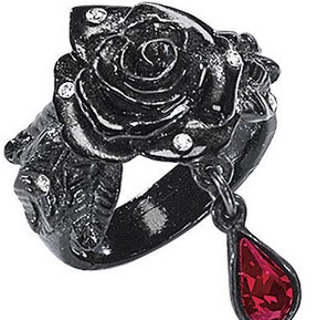 Rose Storm Photo 10