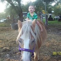 Wendy Harrell Photo 4