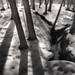 Robin Powell Photo 44