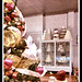 Louis Bake Photo 18
