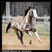 Justin Silvers Photo 20