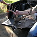 Brian Ogden Photo 40