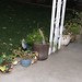 Kevin Plant Photo 34