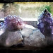 Crystal Jordan Photo 48