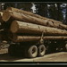 Edward Binder Photo 17