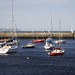 Steve Stanko Photo 26