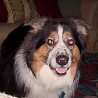 Theresa Sanford Photo 3