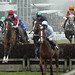 Barry Regan Photo 34