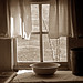 Frank Wykoff Photo 8