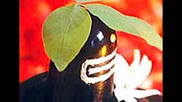 Rajan Desai Photo 28