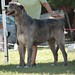 Steven Strohm Photo 14