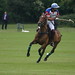 Charles Ham Photo 39