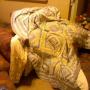 Cody House Photo 22