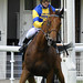 Derick Bailey Photo 23