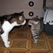 Eric Carino Photo 35