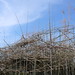 Don Cantor Photo 12