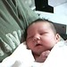 Ann Boyles Photo 23
