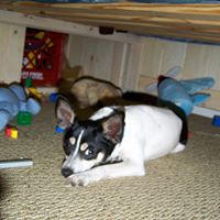 Alex Oneil Photo 2