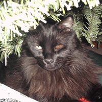 Robbin Roberts Photo 4