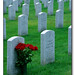 Kent Becker Photo 25
