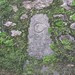 Devon Stone Photo 32