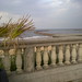 Brenda Berman Photo 21
