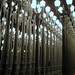 Chris Burden Photo 45