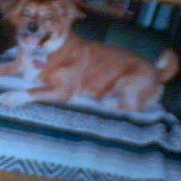 Judith Watts Photo 3