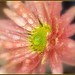 Donna Frame Photo 25