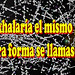 Alicia Rosas Photo 42