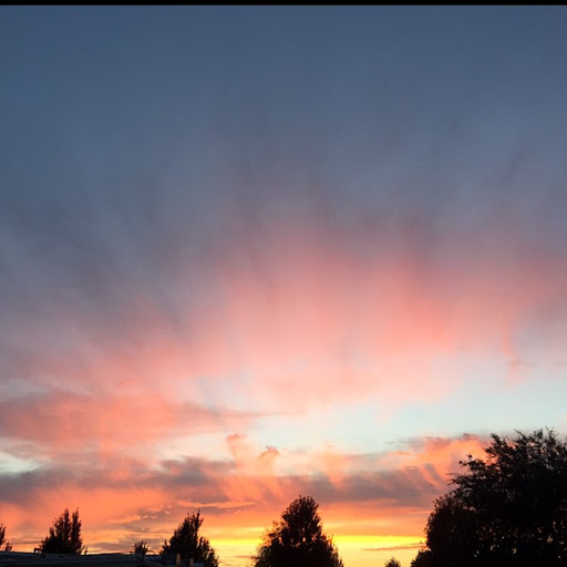 Rachel Ringler Photo 9