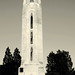 Nancy Brown Photo 42