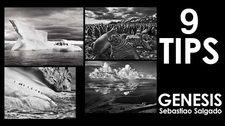 Thomas Salgado Photo 27