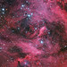 David Thackeray Photo 22