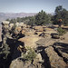George Mesa Photo 36