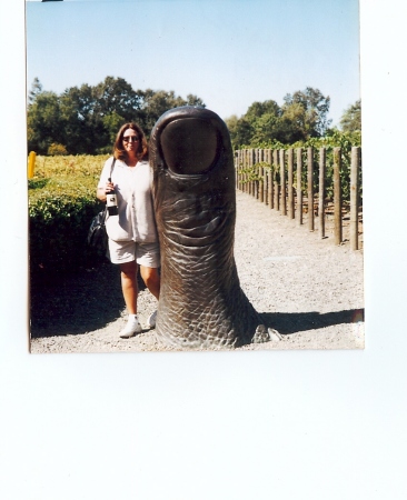 Pat Chapman Photo 18