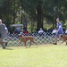 Glenn Belton Photo 20