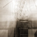 Alan Godin Photo 19