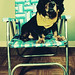 Jacob Wiener Photo 18