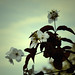 Emily Evers Photo 33