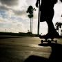 Robert Leal Photo 25