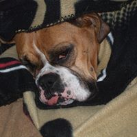Teresa Howarth Photo 2