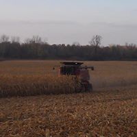 Corey Schultz Photo 8